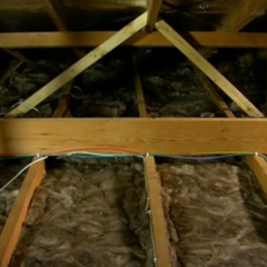 Ceiling Insulation