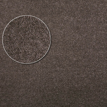 Apartment Carpet