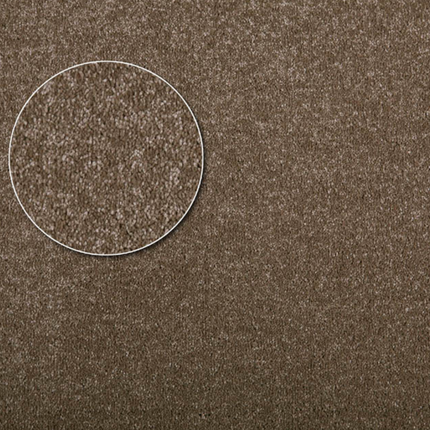 Apartment Carpet