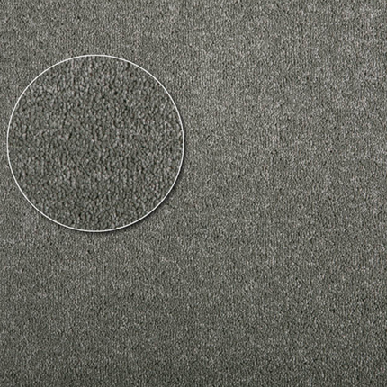 Apartment Carpet