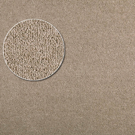 Apartment Carpet