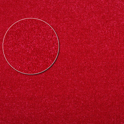 Apartment Carpet