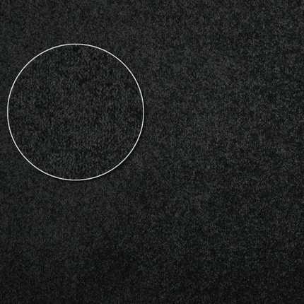 Apartment Carpet
