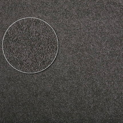 Apartment Carpet
