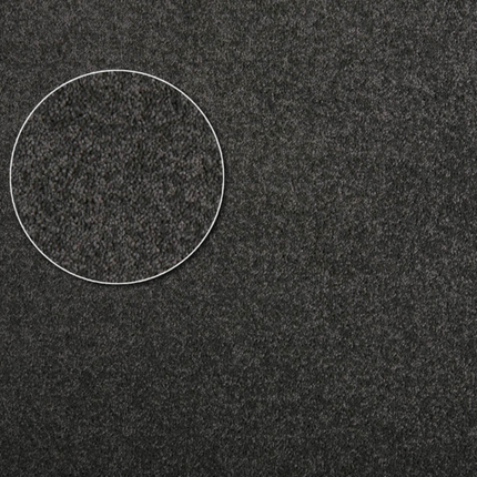 Apartment Carpet
